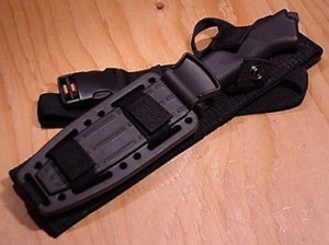 Prodigy sheath