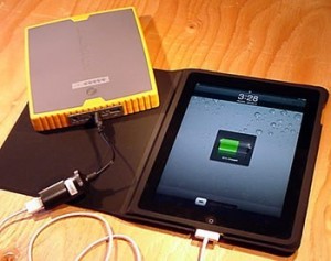 Impel - with 2.1A iPad connection