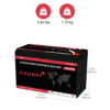 CanBat cli12-9 12v 9ah lithium lifepo4 battery dimensions